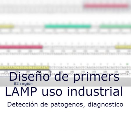 primers-LAMP