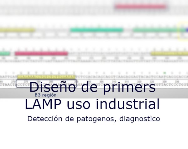 primers-LAMP